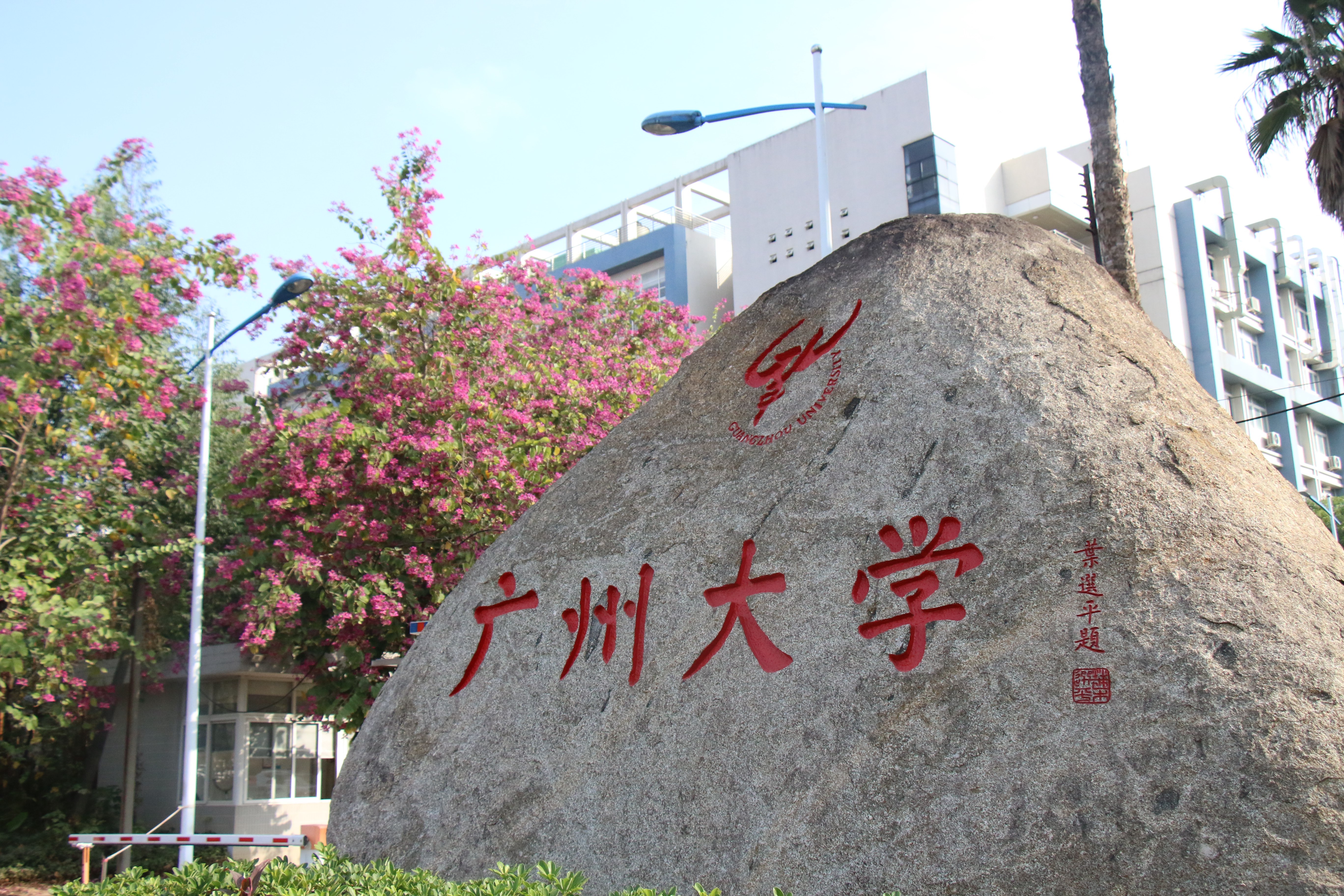 被花海温暖了的广大时光-广州大学党委宣传部